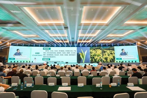 福茶所及，万里飘香 第三届“三茶”融合高质量发展大会聚焦农牧业技术开发与服务